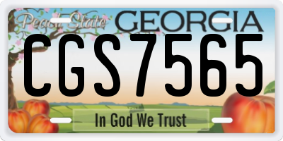 GA license plate CGS7565