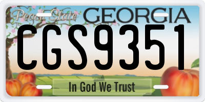 GA license plate CGS9351