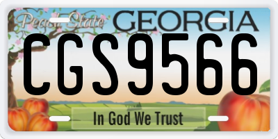 GA license plate CGS9566