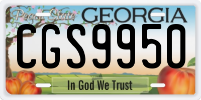 GA license plate CGS9950