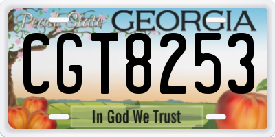 GA license plate CGT8253