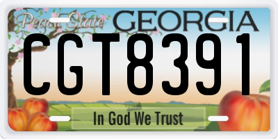 GA license plate CGT8391