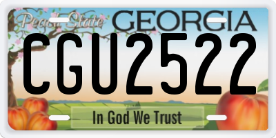 GA license plate CGU2522