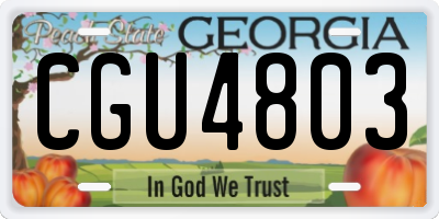 GA license plate CGU4803