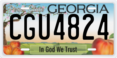 GA license plate CGU4824