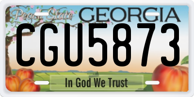 GA license plate CGU5873
