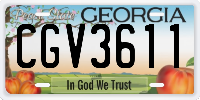 GA license plate CGV3611
