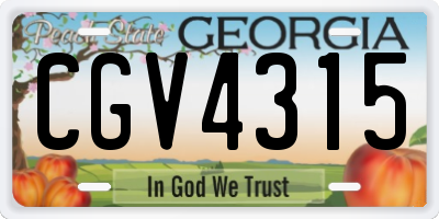 GA license plate CGV4315