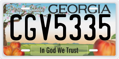 GA license plate CGV5335
