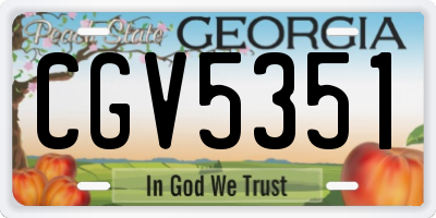 GA license plate CGV5351