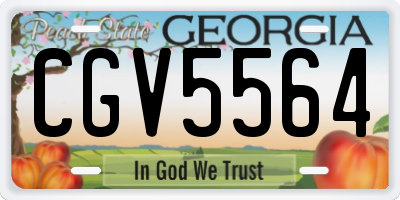 GA license plate CGV5564
