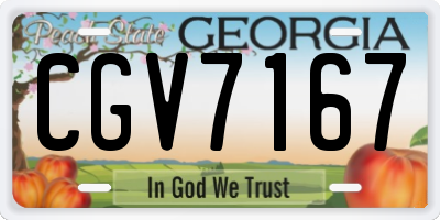 GA license plate CGV7167