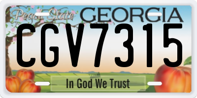 GA license plate CGV7315