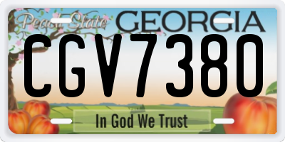 GA license plate CGV7380