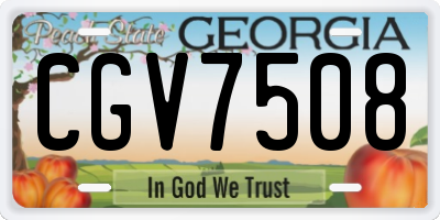 GA license plate CGV7508