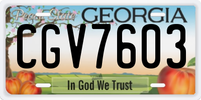 GA license plate CGV7603
