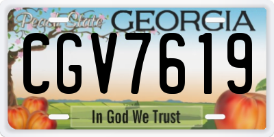 GA license plate CGV7619