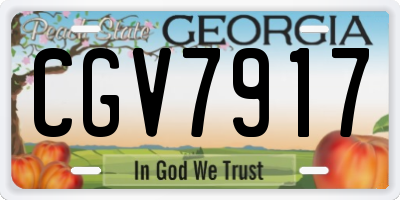 GA license plate CGV7917