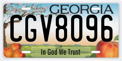 GA license plate CGV8096