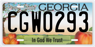 GA license plate CGW0293