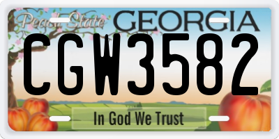 GA license plate CGW3582
