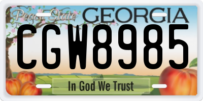 GA license plate CGW8985