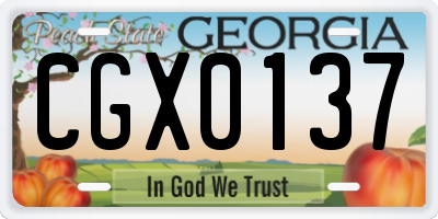 GA license plate CGX0137