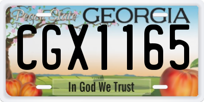 GA license plate CGX1165
