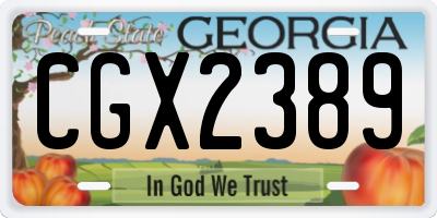 GA license plate CGX2389