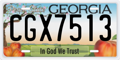 GA license plate CGX7513
