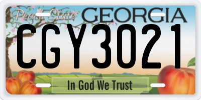 GA license plate CGY3021