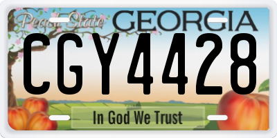 GA license plate CGY4428