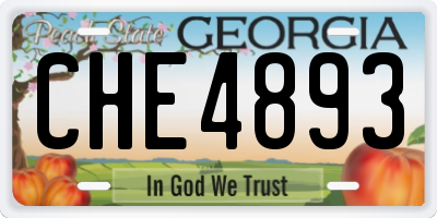GA license plate CHE4893