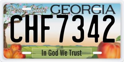 GA license plate CHF7342