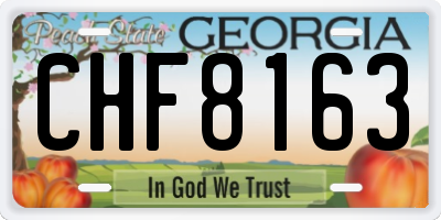 GA license plate CHF8163