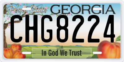 GA license plate CHG8224