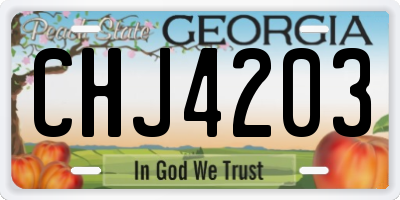 GA license plate CHJ4203