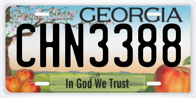 GA license plate CHN3388