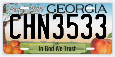 GA license plate CHN3533