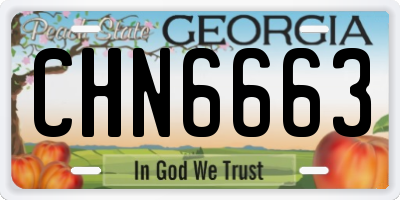 GA license plate CHN6663