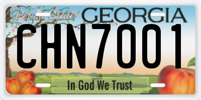 GA license plate CHN7001