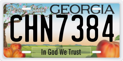 GA license plate CHN7384