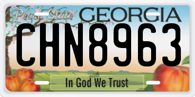 GA license plate CHN8963