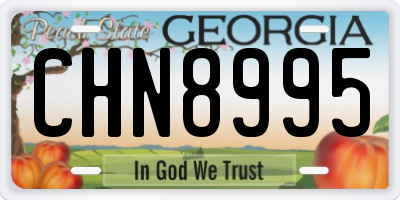 GA license plate CHN8995