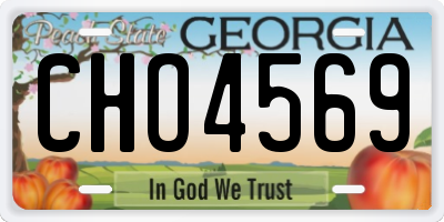 GA license plate CHO4569