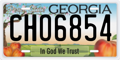 GA license plate CHO6854