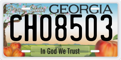 GA license plate CHO8503