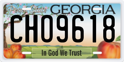 GA license plate CHO9618