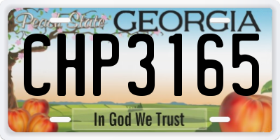 GA license plate CHP3165