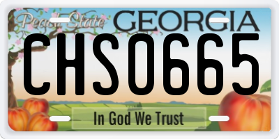 GA license plate CHS0665